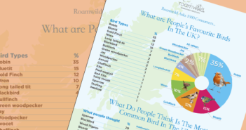 Roamwild wildbird survey 2019