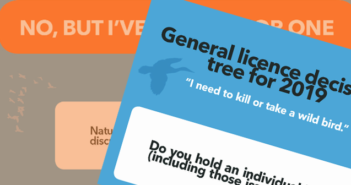 BPCA: General Licence decision tree