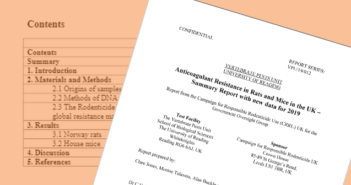 CRRU: Anticoagulant Resistance in Rats & Mice in the UK 2019