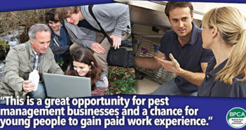 BPCA considers joining the Kickstart job scheme as an intermediary