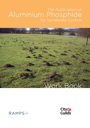 Workbook cover