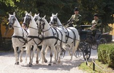 Babolna Carriage Driving