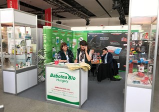 Babolna Stand