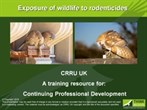 CRRU wildlife exposure presentation