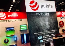 Pelsis