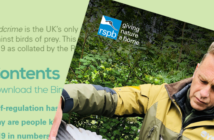 RSPB Birdcrime Report 2019