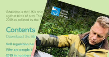 RSPB Birdcrime Report 2019