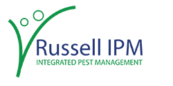 Russell IPM