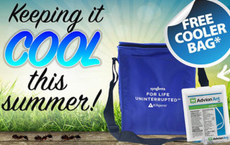 Killgerm’s cool summer offer on Advion Ant Gel