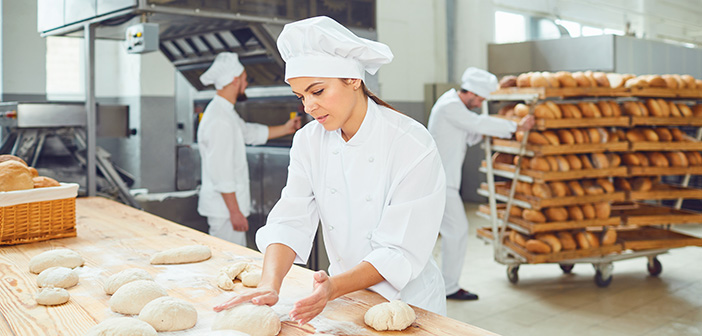 Understanding pests in food businesses