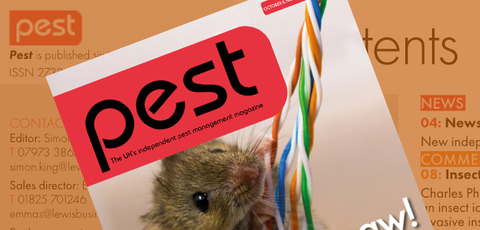 Pest 77: October/November 2021