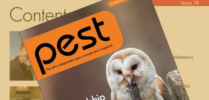 pest-dec-21-jan-22-featured