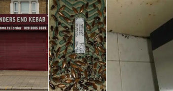 Rats and cockroach infestation lead to kebab shop prosecution