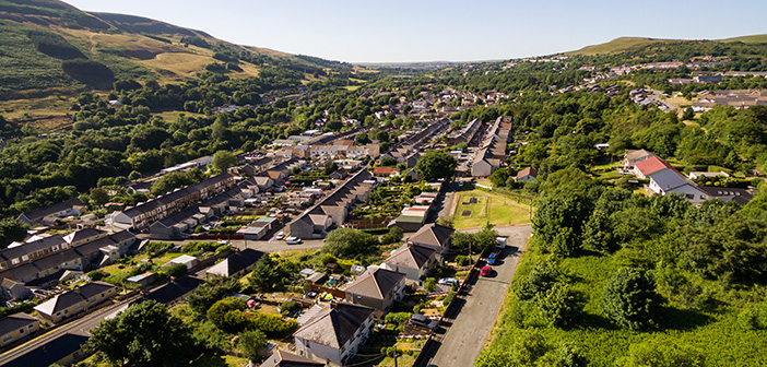 Blaenau Gwent calls for local companies to run pest control