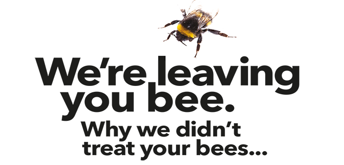 Celebrating World Bee Day