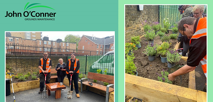 John O'Conner buzzing about bee garden project