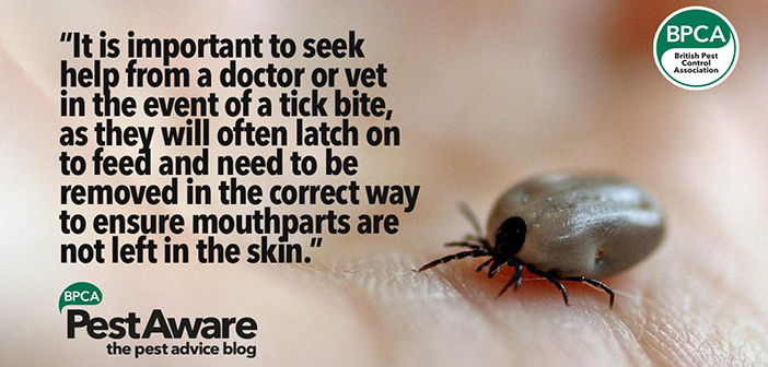 BPCA advises public to call their GP or vet to remove ticks