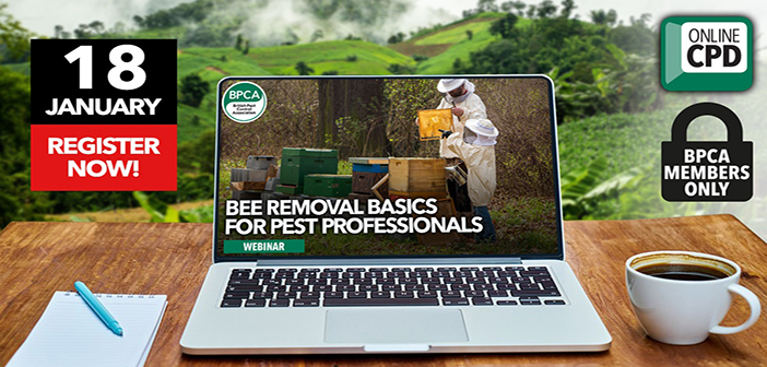 BPCA to host webinar on bee removal basics for pest professionals
