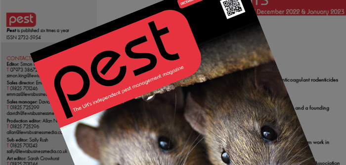 Pest 84: December 2022 / January 2023