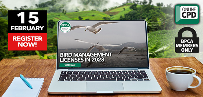 BPCA to host bird management licences webinar