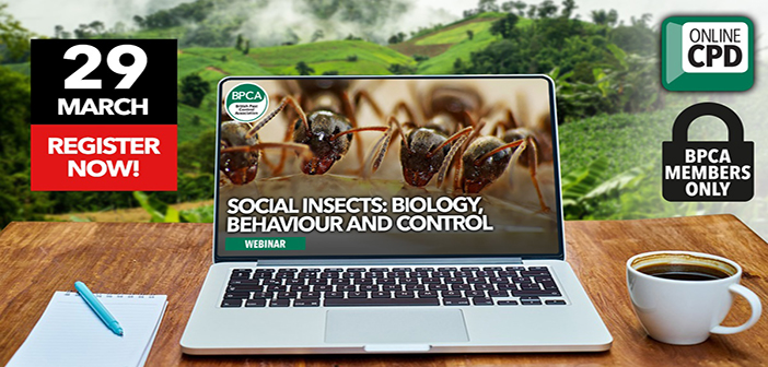 BPCA to host webinar on social insects
