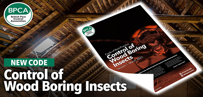 BPCA releases new Code of Best Practice for wood boring insects