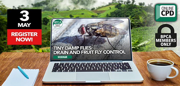 BPCA to host webinar on drain and fruit fly control