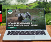 BPCA to host webinar next week on non-pest mammals, including voles, badgers and bats