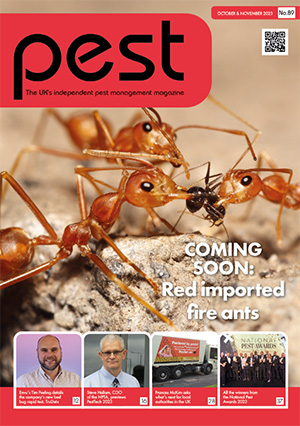 Pest Magazine