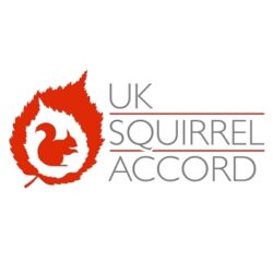UK Squirrel Accord