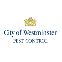 Westminster City Council