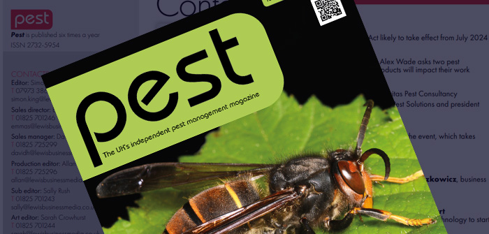 Pest 91: February / March 2024