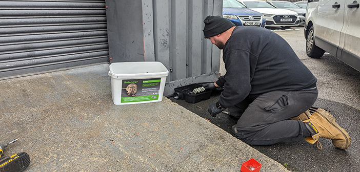 Helping a luxury car showroom eradicate an infestation and steer clear of rodents