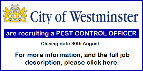 WCC job offer Aug 2024