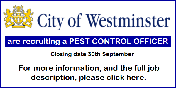 WCC job offer Aug 2024