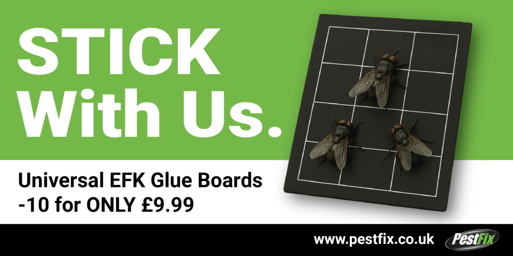 Pestfix enews banner for May - glueboard