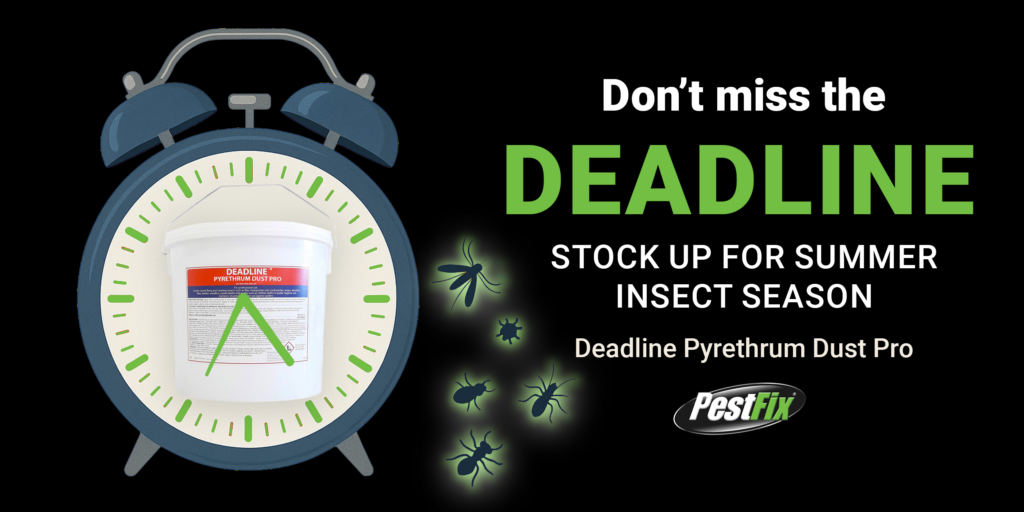 Pestfix enews banner for June - dust