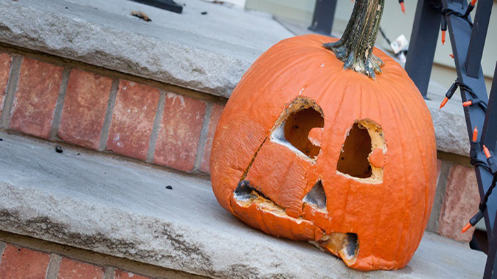 BPCA issues Halloween pest prevention warning to the public