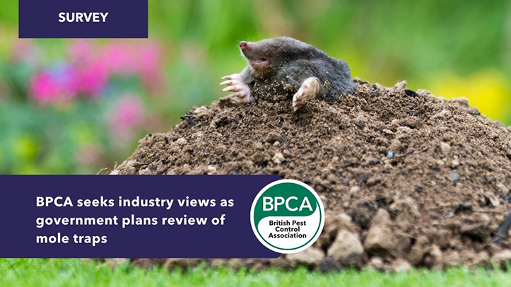 BPCA calls for industry input ahead of potential mole trap review