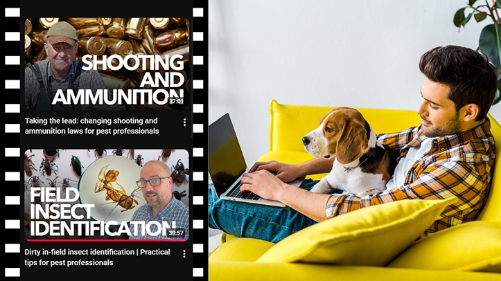 BPCA releases new free CPD videos