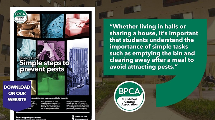 Support for students as report highlights infestation impacts