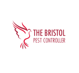 Operations Director