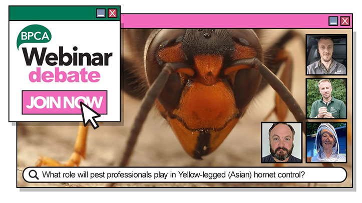BPCA yellow-legged (Asian) hornet debate now available to watch